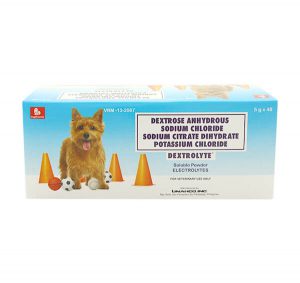DoggiEssentials - Dextrolyte Family Box