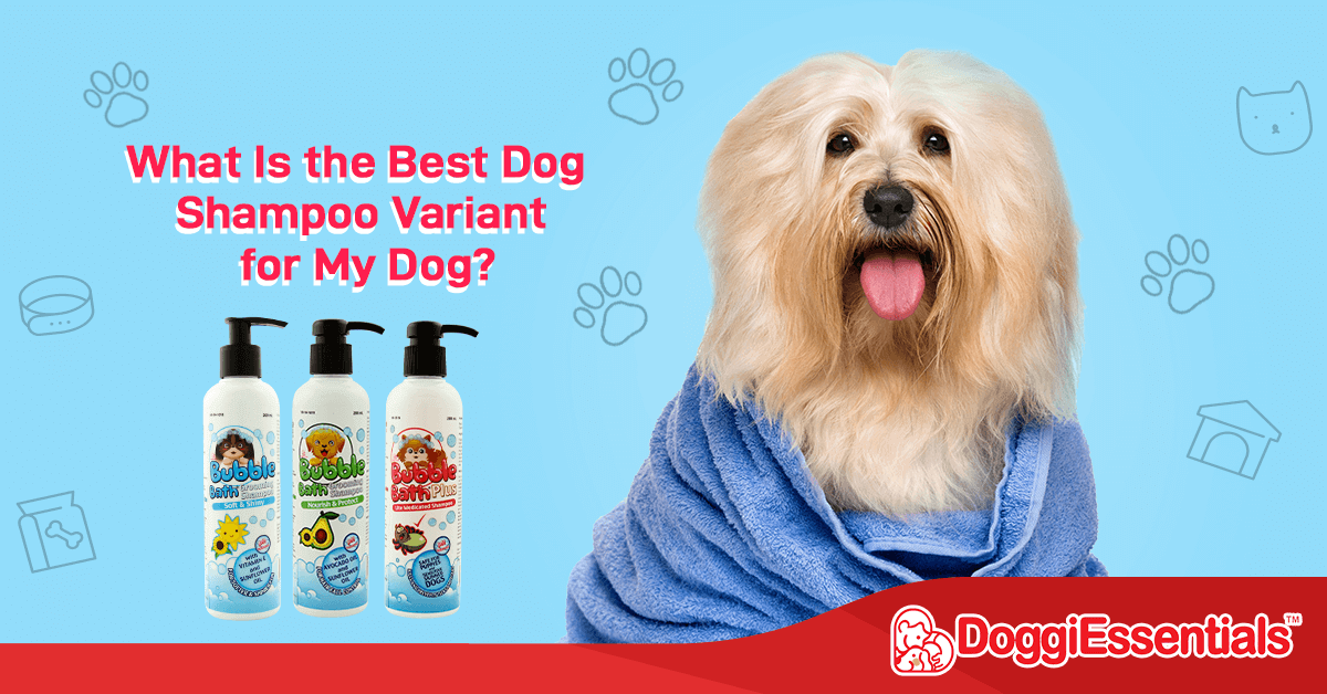 What Is the Best Dog Shampoo Variant for My Dog?
