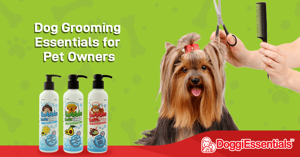 Dog Grooming Essentials for Pet Owners